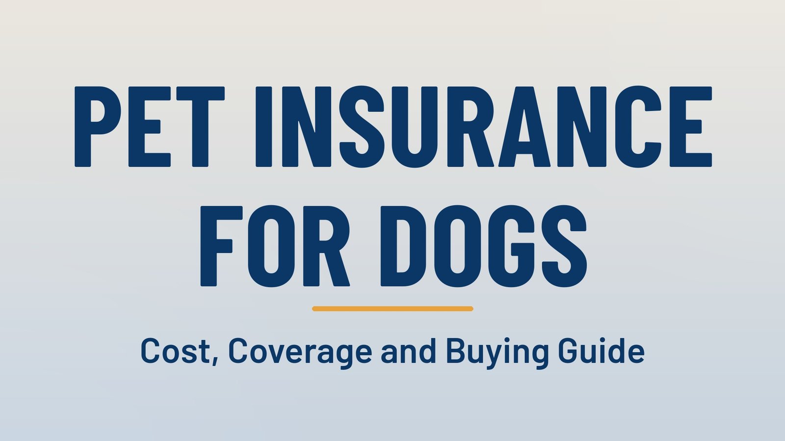 How Much Does Pet Insurance Cost for Dogs? A 2026 Coverage and Price Guide